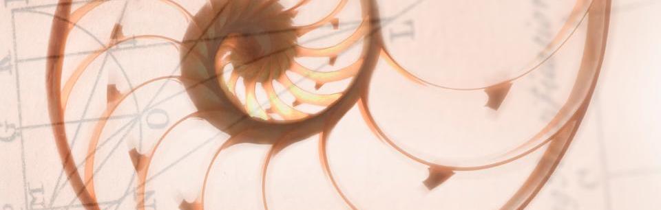 Abstrakte Spiralform als Sinnbild für Entwicklung, innere Prozesse und Klarheit